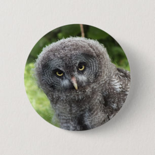 GREY OWL BUTTON
