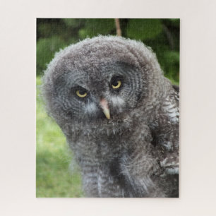 GREY OWL JIGSAW PUZZLE