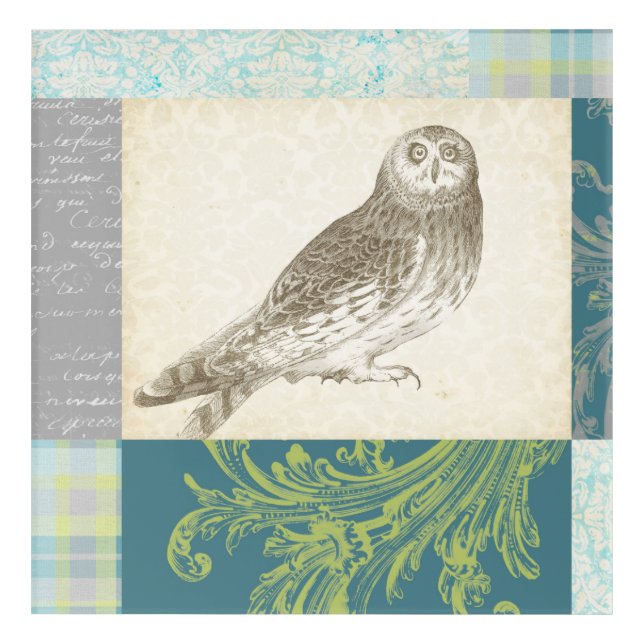 Grey Owl on Pattern Background Acrylic Print (Front)