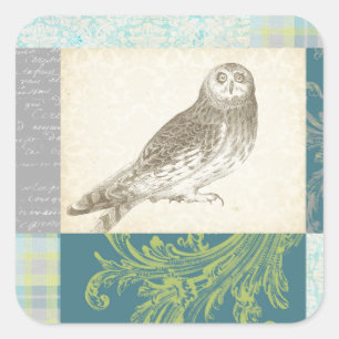 Grey Owl on Pattern Background Square Sticker