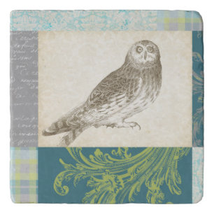 Grey Owl on Pattern Background Trivet