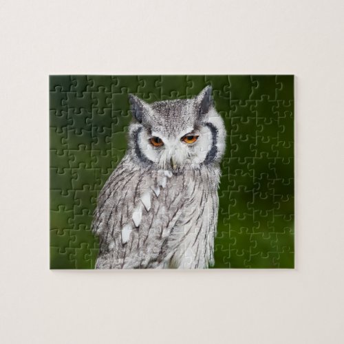 Grey owl perched with green blurred background jigsaw puzzle