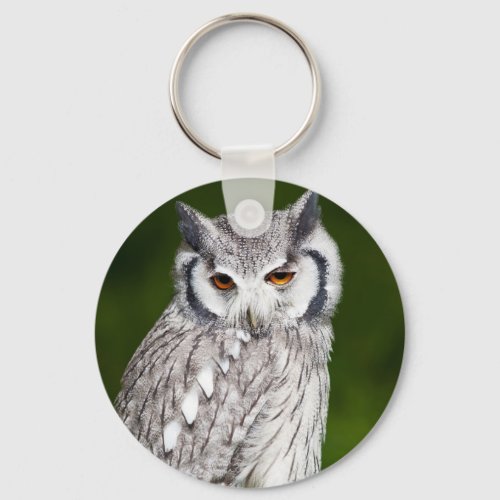 Grey owl perched with green blurred background keychain
