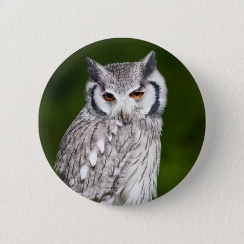 Grey owl perched with green blurred background pinback button