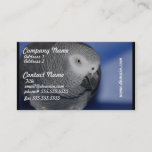 Grey Parrot Business Card