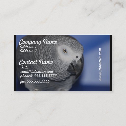 Customizable Grey Parrot Business Card Template