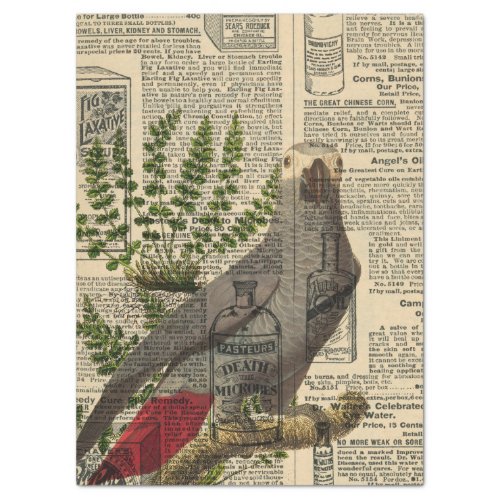 Grey Parrot on Vintage Catalog Decoupage Tissue Paper