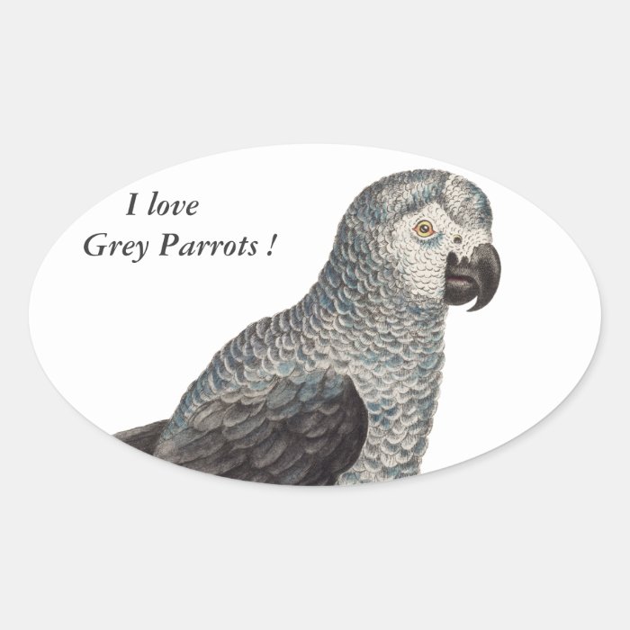 Grey Parrot   Psittacus erithacus Oval Stickers