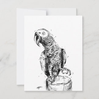 Grey Parrot Thank You Card