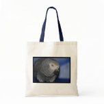 Grey Parrot Tote Bag
