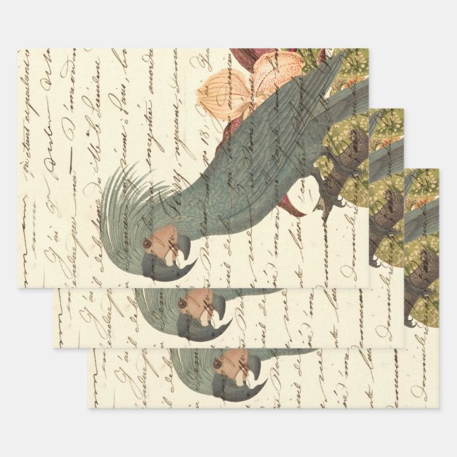 Grey Parrot with Flowers and Cursive Wrapping Paper Sheets (Set)
