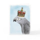 Grey Parrot with Royal Crown