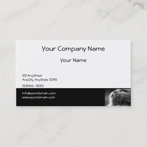 Grey Persian Cat on Black Border Business Card