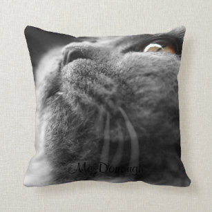 persian cat pillow