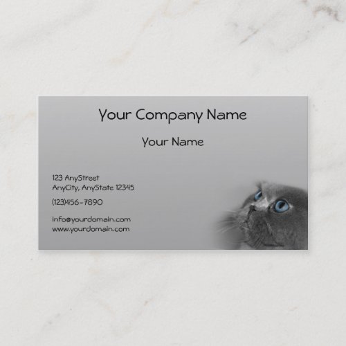 Grey Persian Cat with Blue Eyes on Grey Background Business Card