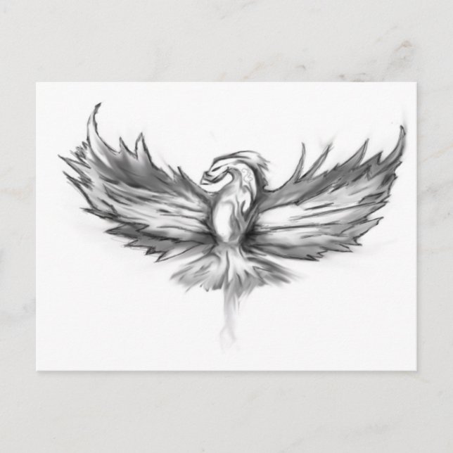 Grey Phoenix Rising Postcard (Front)