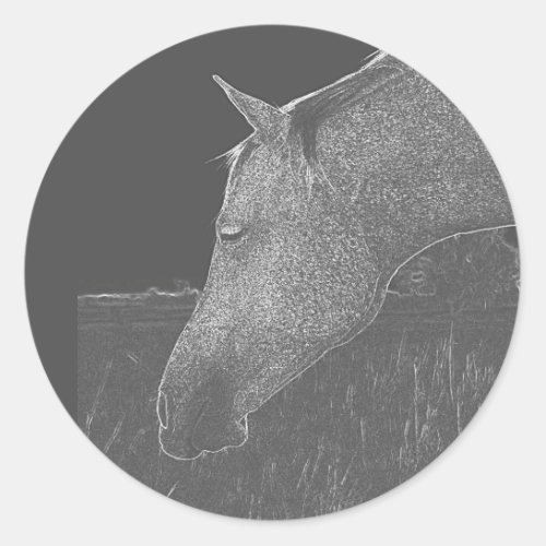 Grey Photo Horse Head Classic Round Sticker