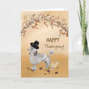 Grey Poodle Funny Pilgrim Hat Thanksgiving Card