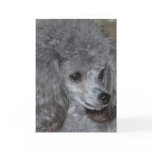 Grey Poodle Note Card
