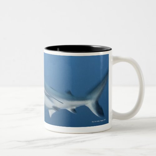 Grey reef shark Carcharhinus amblyrhynchos Two_Tone Coffee Mug