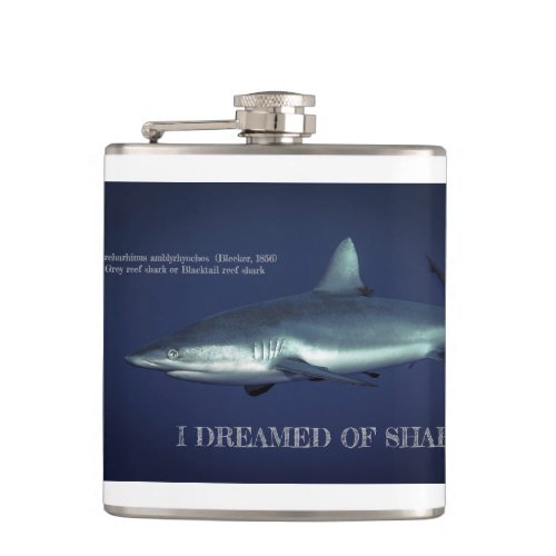 Grey Reef Shark in Yap Micronesia Giant Coffee Mug Flask