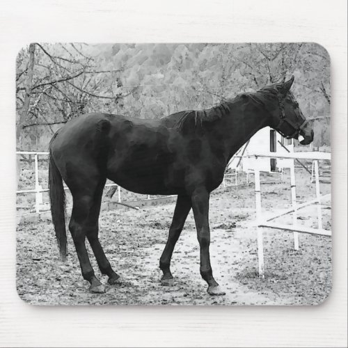 Grey Scale Pop Art Horse Mouse Pad