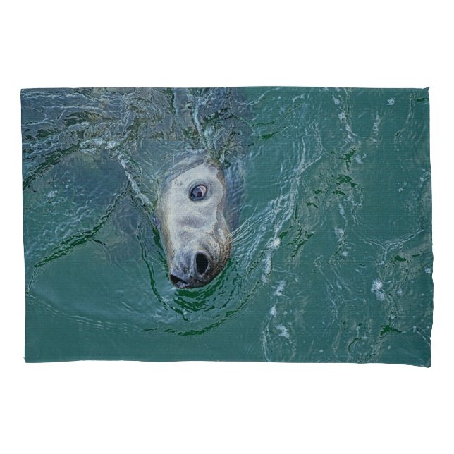 Grey Seal on Mission Pillow Case (Front)