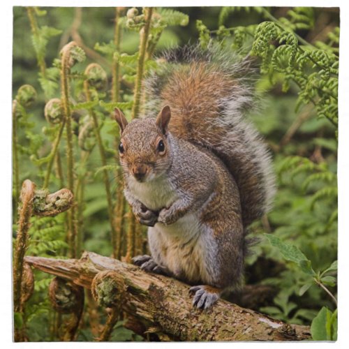 Grey Squirrel American Mojo Napkins