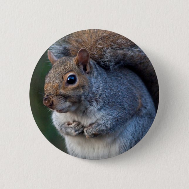 Grey Squirrel Badge Button (Front)