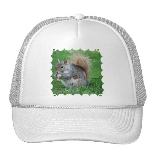 Squirrel Hats and Squirrel Trucker Hat Designs