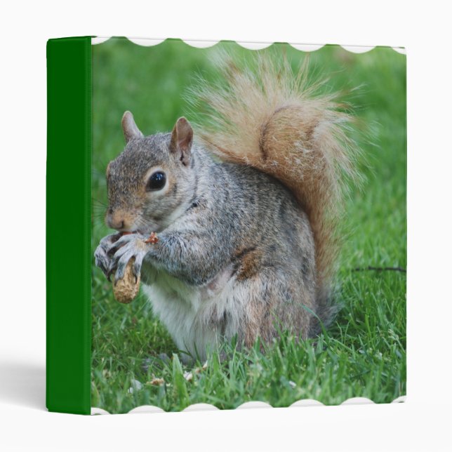 Grey Squirrel Binder (Front/Spine)