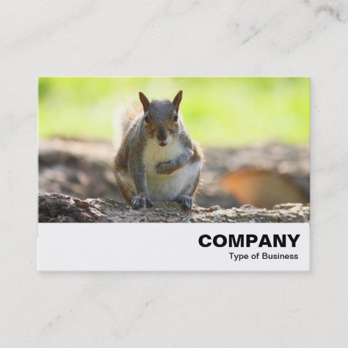 Grey Squirrel Business Card