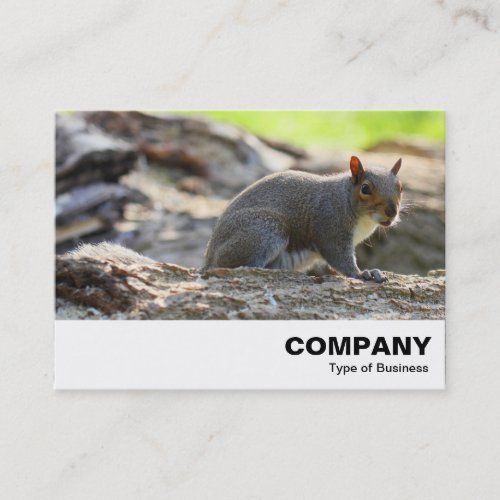 Grey Squirrel Business Card