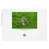 Grey Squirrel, Bute Park, Cardiff (Back Horizontal)