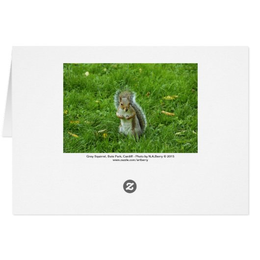 Grey Squirrel, Bute Park, Cardiff (Back Horizontal)