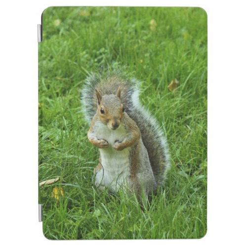 Grey Squirrel Bute Park Cardiff iPad Mini Cover