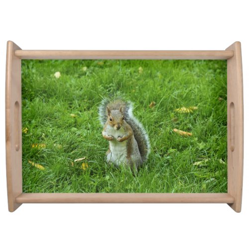 Grey Squirrel Bute Park Cardiff Serving Tray