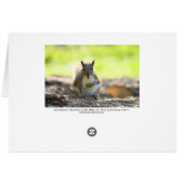 Grey Squirrel - Bute Park, Cardiff, Wales, UK (Back Horizontal)