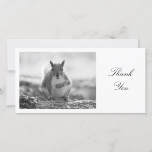 Grey Squirrel BW - Thank You