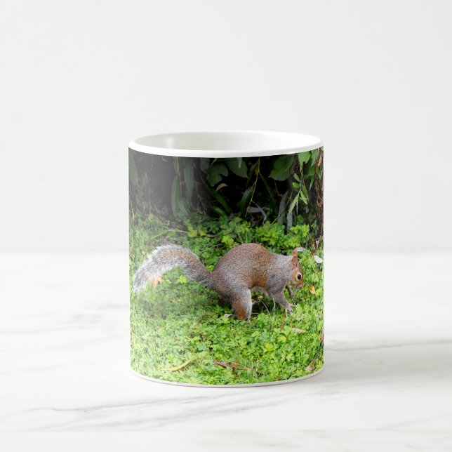 Grey squirrel coffee mug (Center)