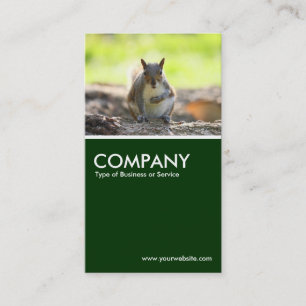 Grey Squirrel - Dark Green Business Card