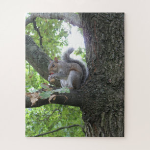 Grey squirrel eating an acorn in an oak tree jigsaw puzzle