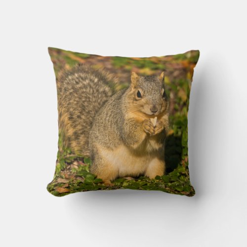 Grey Squirrel eating peanut Crystal Springs 1 Throw Pillow