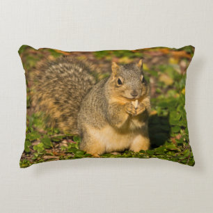 Grey Squirrel, eating, peanut, Crystal Springs Decorative Pillow