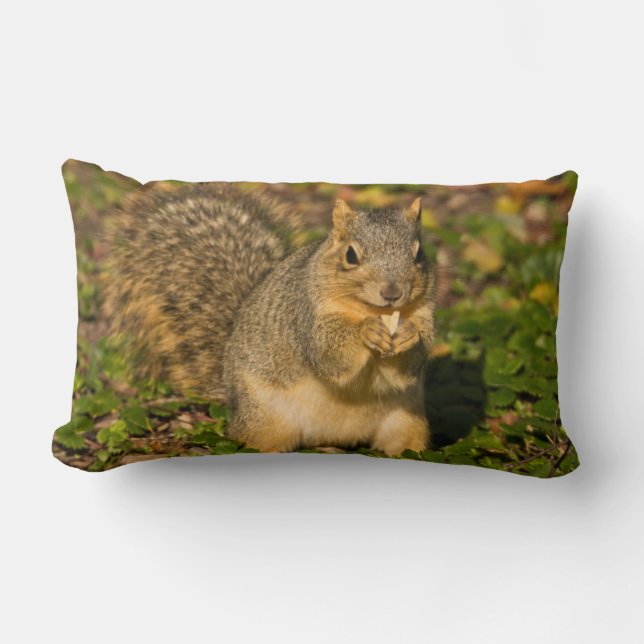 Grey Squirrel, eating, peanut, Crystal Springs Lumbar Pillow (Front)