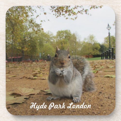 Grey Squirrel Hyde Park London Coaster