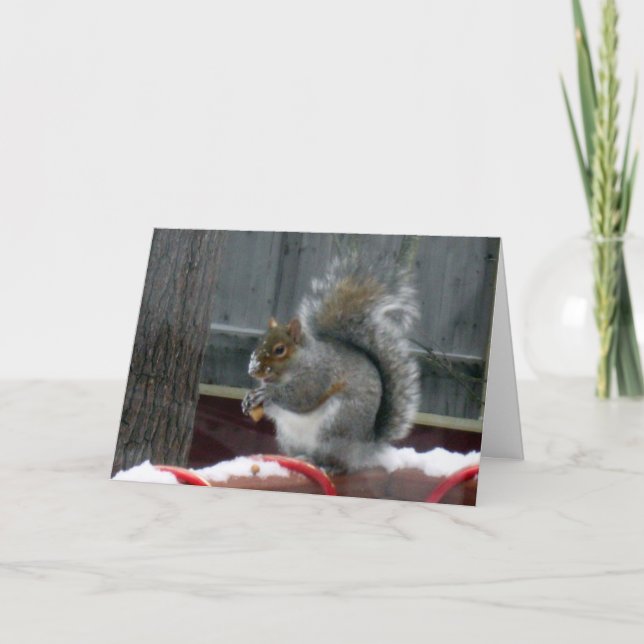 Grey Squirrel in Winter Holiday Card (Front)