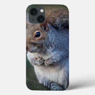 Grey Squirrel iPad Case