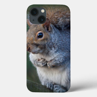 Grey Squirrel iPad Mini Case