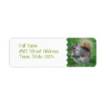 Grey Squirrel Mailing Labels